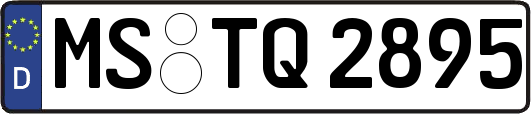 MS-TQ2895