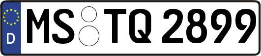 MS-TQ2899