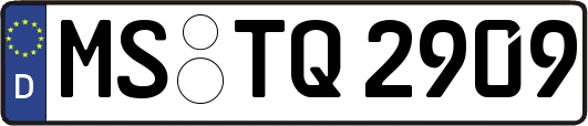 MS-TQ2909