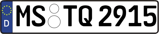 MS-TQ2915