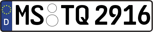 MS-TQ2916