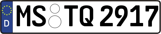 MS-TQ2917