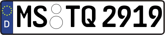 MS-TQ2919