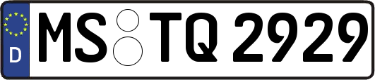 MS-TQ2929