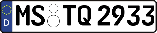 MS-TQ2933