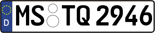 MS-TQ2946