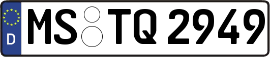 MS-TQ2949