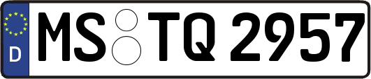 MS-TQ2957