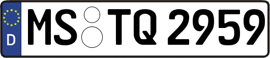 MS-TQ2959