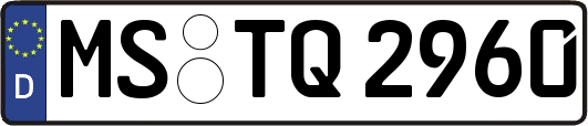 MS-TQ2960
