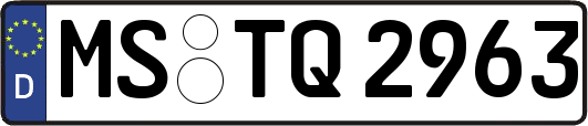 MS-TQ2963