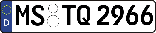 MS-TQ2966
