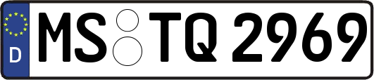 MS-TQ2969