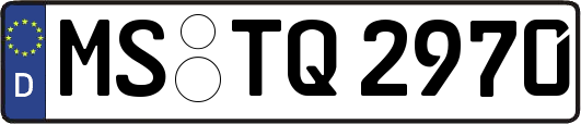 MS-TQ2970