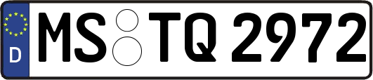 MS-TQ2972