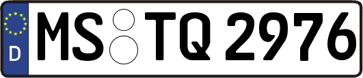 MS-TQ2976