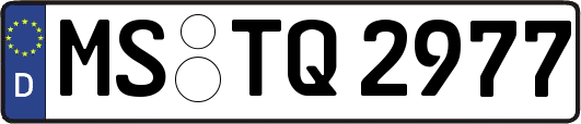 MS-TQ2977