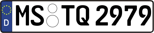 MS-TQ2979