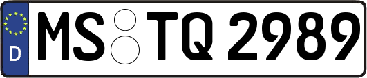 MS-TQ2989
