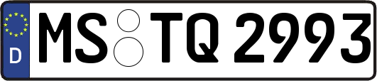 MS-TQ2993