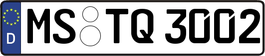 MS-TQ3002