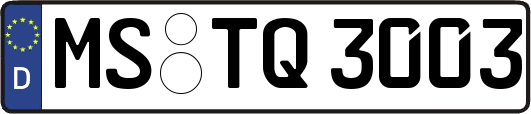 MS-TQ3003
