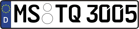 MS-TQ3005