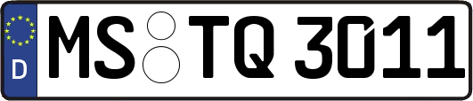 MS-TQ3011