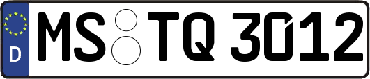 MS-TQ3012