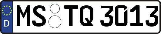 MS-TQ3013