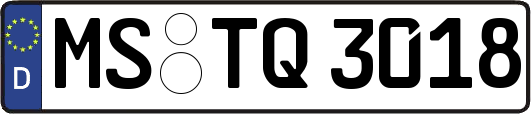 MS-TQ3018
