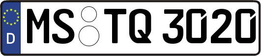 MS-TQ3020