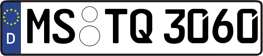 MS-TQ3060