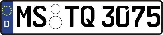 MS-TQ3075
