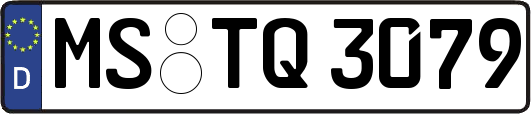 MS-TQ3079