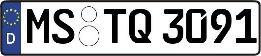 MS-TQ3091