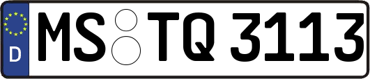 MS-TQ3113