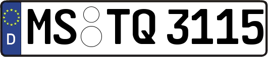 MS-TQ3115