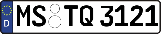 MS-TQ3121