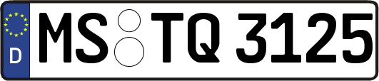 MS-TQ3125