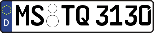 MS-TQ3130