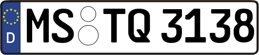 MS-TQ3138