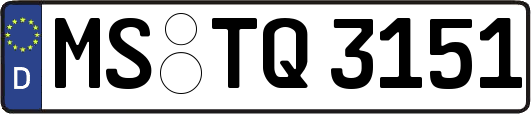 MS-TQ3151
