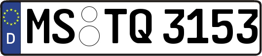 MS-TQ3153