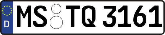 MS-TQ3161