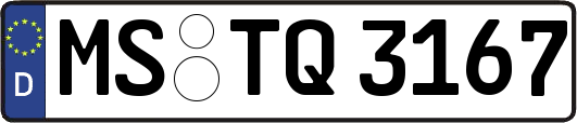 MS-TQ3167