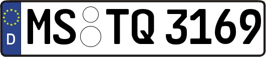 MS-TQ3169