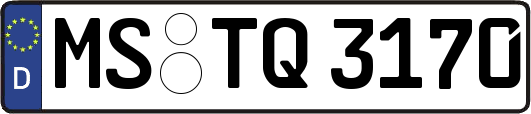 MS-TQ3170