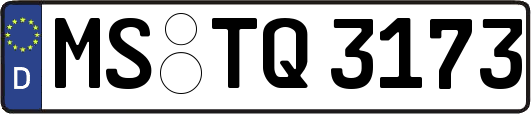 MS-TQ3173