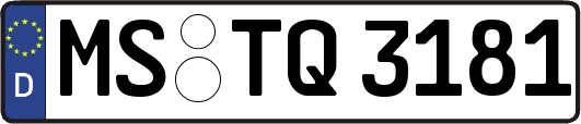 MS-TQ3181